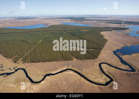 Vista aerea attraverso il paese di flusso, con il legname plantation, Forsinard, Caithness in Scozia, Regno Unito, maggio. Foto Stock