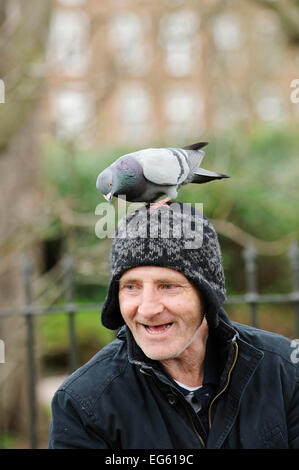 Uomo con piccioni selvatici (Columba livia) appollaiato sulla sua testa, Regents Park, London, England, Regno Unito, Febbraio Foto Stock