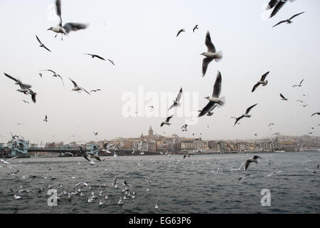 Gabbiani a Eminonu Waterfront Istanbul Turchia // ISTANBUL, Turchia - i gabbiani scaldano il lungomare di Eminonu, uno dei quartieri storici di Istanbul situato sul Corno d'Oro. La torre medievale di Galata è visibile in lontananza attraverso l'acqua. Eminonu è un importante centro di trasporto e commerciale nel quartiere Fatih di Istanbul, noto per i suoi terminal dei traghetti, i mercati delle spezie e la vicinanza ai principali monumenti dell'epoca ottomana. La Torre Galata, costruita dai genovesi nel 1348, è una torre in pietra di 67 metri (220 piedi) che servì come torre di guardia durante il periodo bizantino e ottomano. L'area si riprende Foto Stock