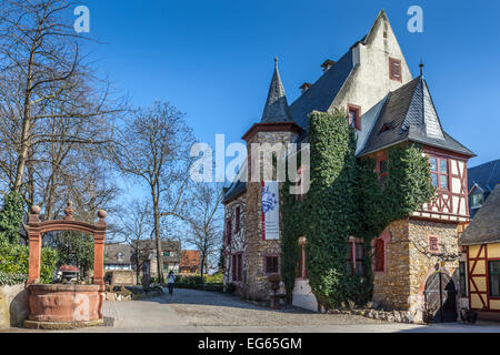 Arco in corrispondenza di un vigneto in Eltville, Reno, Germania Foto Stock