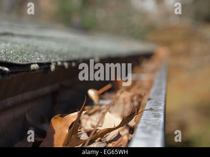 Primo piano di una casa di pioggia Tetto canaletta riempita a secco con foglie di autunno in autunno Foto Stock