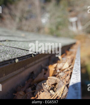 Primo piano di una casa di pioggia Tetto canaletta riempita a secco con foglie di autunno in autunno Foto Stock