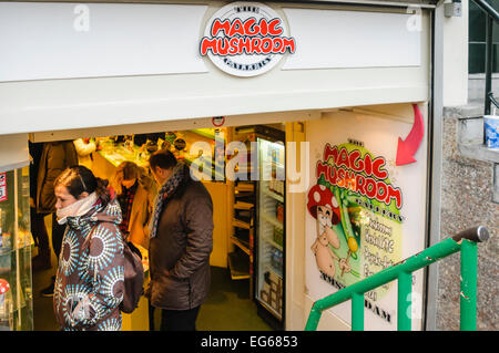 Il Magic Mushroom gallery, Amsterdam Foto Stock