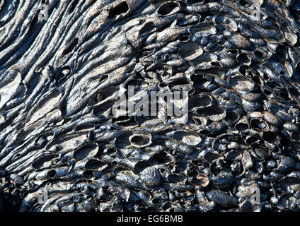 Cono di spruzzi di lava in isole Galapagos Foto Stock