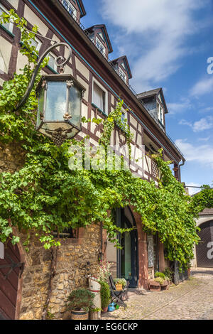 Arco in corrispondenza di un vigneto in Eltville, Reno, Germania Foto Stock