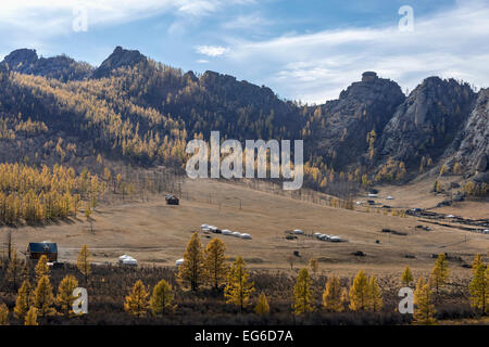 Ger camp con golden tamaracks, Gorkhi-Terelj Parco Nazionale, vicino a Ulaan Baatar, Mongolia Foto Stock