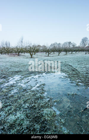 Tenterden Kent REGNO UNITO 17 febbraio 2015 Tenterden Kent REGNO UNITO notizie meteo. Gelido e il pupazzo di neve per iniziare la giornata al Kentish campagna. Un tipico ex oast house guarda bello nella luce del sole della mattina. Credito: Gary Telford/Alamy live news Foto Stock