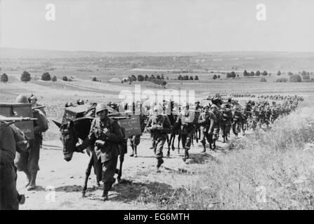 Italiano truppe expeditionary e artiglieria marzo al fronte orientale durante la Seconda guerra mondiale 2. Luglio 1941. Alleata con la Germania nazista, Foto Stock