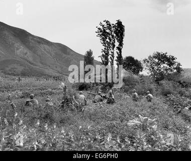 Marines di un azienda Anti-Tank fire un 75mm recoilless fucile durante la Battaglia di Obong-ni Ridge, Agosto 17-19, 1950. È stato Foto Stock