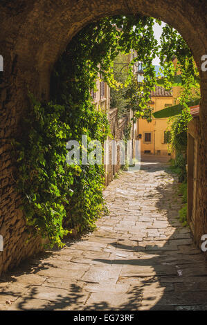 Vecchie strade di verde in una città toscana medioevale. Foto Stock