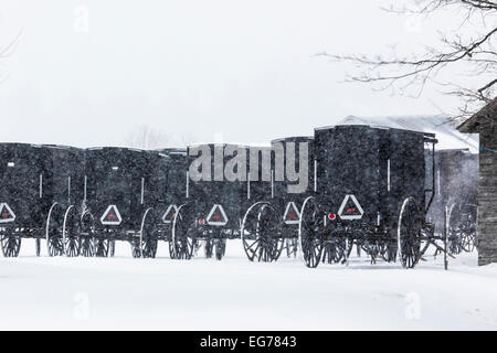 La raccolta degli Amish buggies parcheggiata in un agriturismo per domenica servizi religiosi nei pressi di Stanwood nel centro di Michigan, Stati Uniti d'America Foto Stock