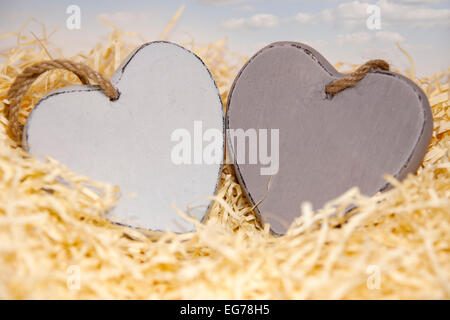 Due cuori di legno in un nido d'amore di paglia Foto Stock