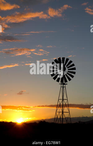 Mulino a vento al tramonto vicino Wilcox, Arizona, Stati Uniti. Foto Stock