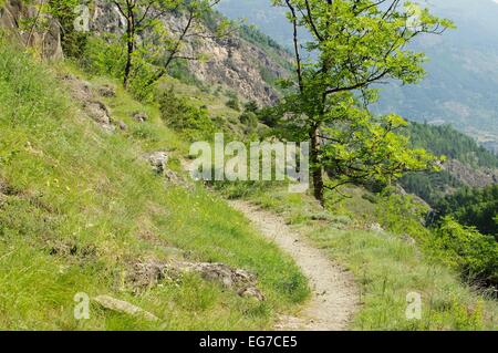 Wanderweg Aostatal - Valle d'Aosta escursionismo via 02 Foto Stock