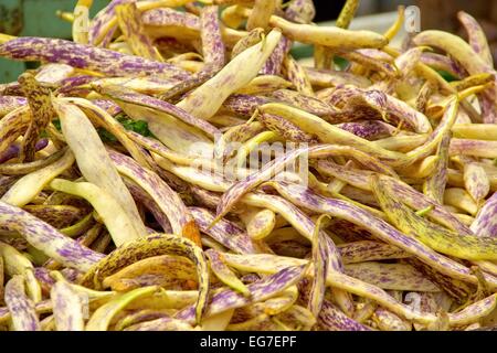 Feuerbohne - runner bean 01 Foto Stock