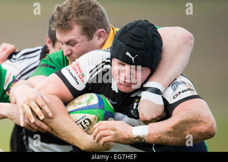 Rugby, giocatore di essere affrontati. Foto Stock