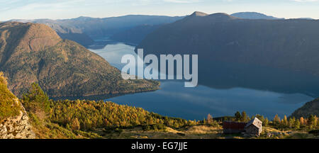 Vista sulla Lustrafjord, il ramo interno del Sognefjord, visto dal Monte Molden, panorama, lingua di terra di Urnes, Norways doga più antica chiesa Foto Stock