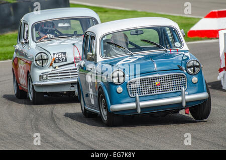 Fiat 1100 racing al Goodwood. Vintage Motor Car racing attraverso la chicane con ruota sollevata da terra Foto Stock