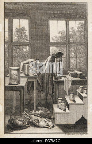Il XVIII secolo gli scienziati in un laboratorio esaminando campioni in vasi. Foto Stock
