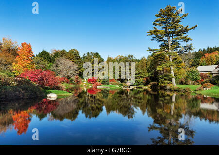 Azalea Asticou giardino, Northeast Harbor, Maine, Stati Uniti d'America Foto Stock