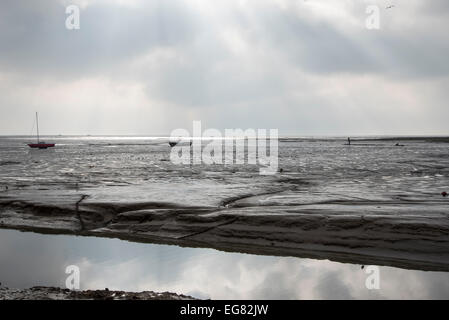 Le velme a Leigh on Sea a bassa marea con il creek in primo piano Foto Stock