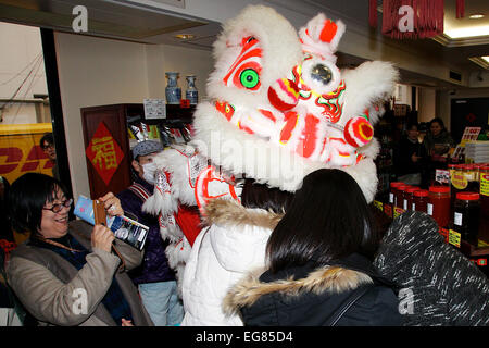 La Danza del Leone a Yokohama Chinatown nel febbraio 19, 2015 a Yokohama, Giappone : un leone saluta gli amanti dello shopping presso il negozio in Chinatown durante il nuovo anno lunare cinese celebrazioni. Il Festival della Primavera Cinese organizzato a Yokohama festeggia il nuovo anno lunare e gli eventi sono in corso dal 19 febbraio al 5 marzo. © Rodrigo Reyes Marin/AFLO/Alamy Live News Foto Stock