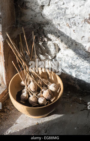 Essiccata la raccolta di semi di papavero pod in una ciotola di legno su un capannone davanzale Foto Stock