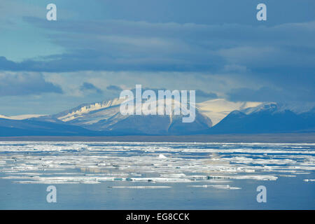 Isola Baffin, Nunavut, Canada, mostra mare di ghiaccio, Agosto Foto Stock