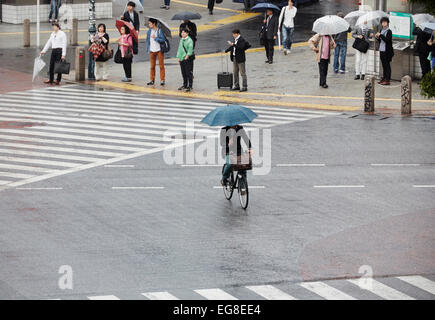 Ciclista con ombrelloni su Shibuya scramble crossing, Shibuya, Tokyo, Giappone Foto Stock