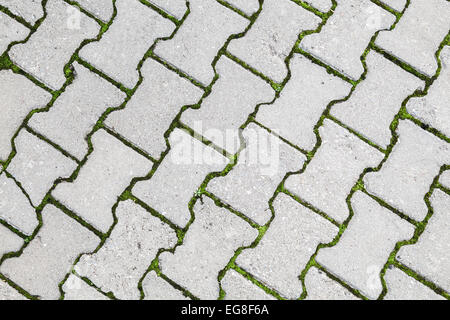 Abstract urban texture di sfondo. Erba verde cresce attraverso il moderno edificio grigio in ciottoli di pavimentazione stradale Foto Stock