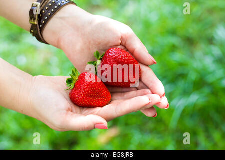 Mani di fragola fragole fresche bambino sano mano verde Foto Stock