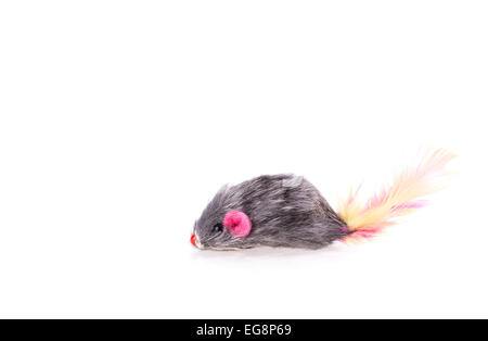 Mouse toy cat isolati su sfondo bianco Foto Stock