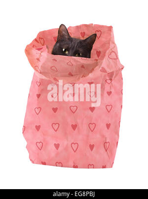 Bagful dell amore - un gatto nero che spuntavano di un sacchetto di carta decorata con cuori rosa - un nuovo Giorno Valentine amico Foto Stock