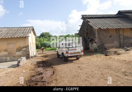 Il latte viene portato via. Latte Aarey colonia è un conglomerato di buffalo privato aziende lattiere situato a Goregaon un sobborgo di Mumbai. Esso copre un area di circa 35000 acri e fu donata allo Stato di Maharashtra dal sig. Aarey il fondatore di Aarey della latteria nel 1949. Il bufalo indiano a produrre mediamente 30 litri / giorno . La produzione di latte è 'loose' ie latte crudo che viene venduto direttamente o all'ingrosso per i negozianti e i dolci martes senza alcun trattamento aggiuntivo salvare per il raffreddamento di ghiaccio. Maggiore è il contenuto di grassi del 7% lo rende ideale per la produzione di dolci ma anche più costoso rispetto al latte di vacca 35-40 INR / li Foto Stock