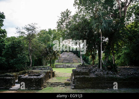 Elite Area residenziale resti vicino tempio Jaguar, Lamanai, Belize Foto Stock