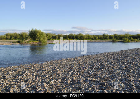 Il Polar Urali. Pebble sponde del fiume. Fiume paesaggio settentrionale, acqua pulita e grazia ambientale. Foto Stock