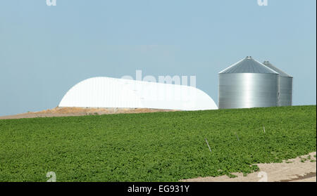 Un idilliaco scena di fattoria Foto Stock