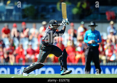 Nelson, Nuova Zelanda. 19 Feb, 2015. Krishna Chandran da Emirati Arabi Uniti durante il 2015 ICC Cricket World Cup match tra lo Zimbabwe e Emirati Arabi Uniti. Saxton ovale, Nelson, Nuova Zelanda. Credito: Azione Sport Plus/Alamy Live News Foto Stock