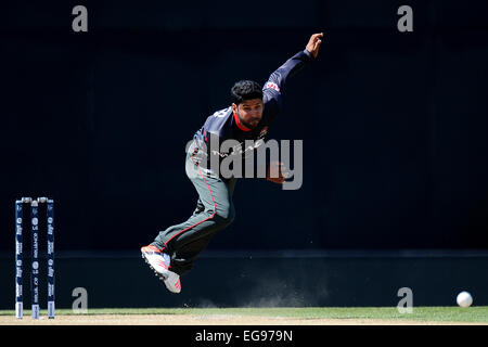 Nelson, Nuova Zelanda. 19 Feb, 2015. Mohammad Naveed dagli EAU bocce durante il 2015 ICC Cricket World Cup match tra lo Zimbabwe e Emirati Arabi Uniti. Saxton ovale, Nelson, Nuova Zelanda. Credito: Azione Sport Plus/Alamy Live News Foto Stock