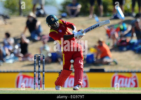 Nelson, Nuova Zelanda. 19 Feb, 2015. Salomone fango dallo Zimbabwe durante il 2015 ICC Cricket World Cup match tra lo Zimbabwe e Emirati Arabi Uniti. Saxton ovale, Nelson, Nuova Zelanda. Credito: Azione Sport Plus/Alamy Live News Foto Stock