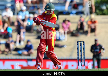 Nelson, Nuova Zelanda. 19 Feb, 2015. Sean Williams dallo Zimbabwe durante il 2015 ICC Cricket World Cup match tra lo Zimbabwe e Emirati Arabi Uniti. Saxton ovale, Nelson, Nuova Zelanda. Credito: Azione Sport Plus/Alamy Live News Foto Stock