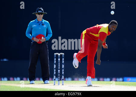 Nelson, Nuova Zelanda. 19 Feb, 2015. Tinashe Panyangara dallo Zimbabwe durante il 2015 ICC Cricket World Cup match tra lo Zimbabwe e Emirati Arabi Uniti. Saxton ovale, Nelson, Nuova Zelanda. Credito: Azione Sport Plus/Alamy Live News Foto Stock