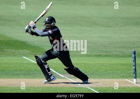 Nelson, Nuova Zelanda. 19 Feb, 2015. Kamran Shazad da EMIRATI ARABI UNITI durante il 2015 ICC Cricket World Cup match tra lo Zimbabwe e Emirati Arabi Uniti. Saxton ovale, Nelson, Nuova Zelanda. Credito: Azione Sport Plus/Alamy Live News Foto Stock