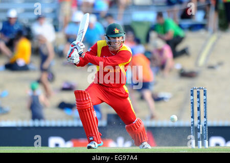 Nelson, Nuova Zelanda. 19 Feb, 2015. Zimbabwe player Sean Williams durante il 2015 ICC Cricket World Cup match tra lo Zimbabwe e Emirati Arabi Uniti. Saxton ovale, Nelson, Nuova Zelanda. Credito: Azione Sport Plus/Alamy Live News Foto Stock