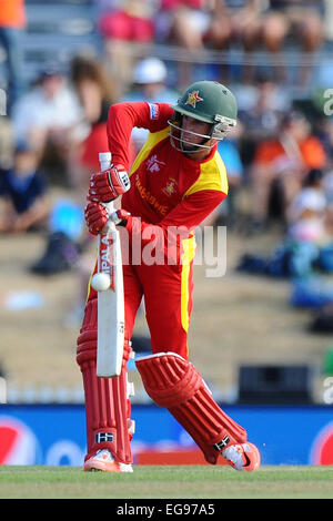 Nelson, Nuova Zelanda. 19 Feb, 2015. Zimbabwe player Sean Williams batting durante il 2015 ICC Cricket World Cup match tra lo Zimbabwe e Emirati Arabi Uniti. Saxton ovale, Nelson, Nuova Zelanda. Credito: Azione Sport Plus/Alamy Live News Foto Stock