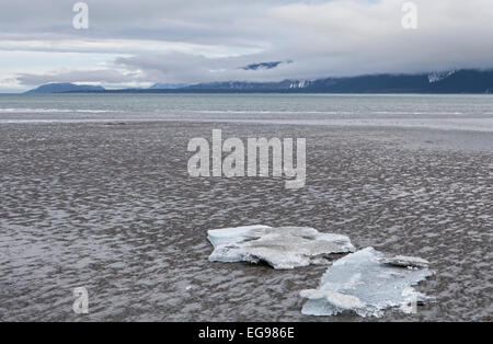 Ice bergs bloccati su un sud-est Alaskan beach a bassa marea con nuvole sopra le montagne sullo sfondo. Foto Stock