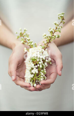 Donna che mantiene i fiori in mani Foto Stock