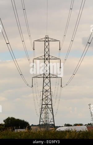 Pilone di elettricità e i cavi Foto Stock