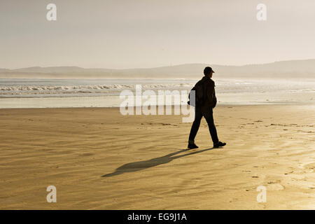 Rambler sulla spiaggia in inverno, retroilluminazione, Plage Tagharte, Essaouira, Marocco Foto Stock