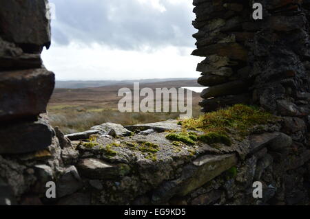 Irlanda, Mossy rivestimento sulla finestra della vecchia casa disabitata Foto Stock